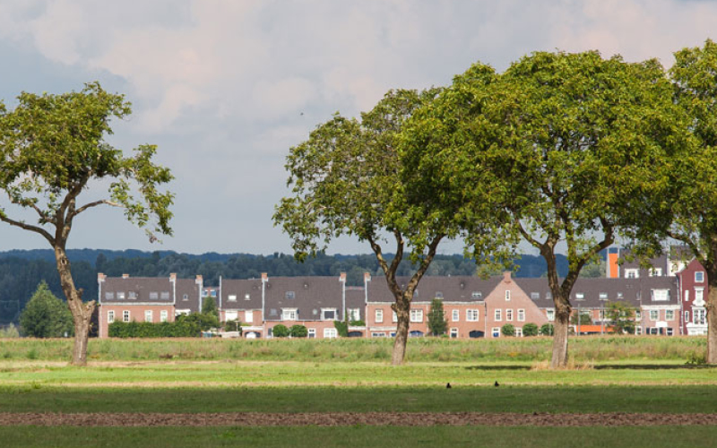 Schuytgraaf 1